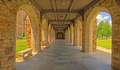 Rhodes College